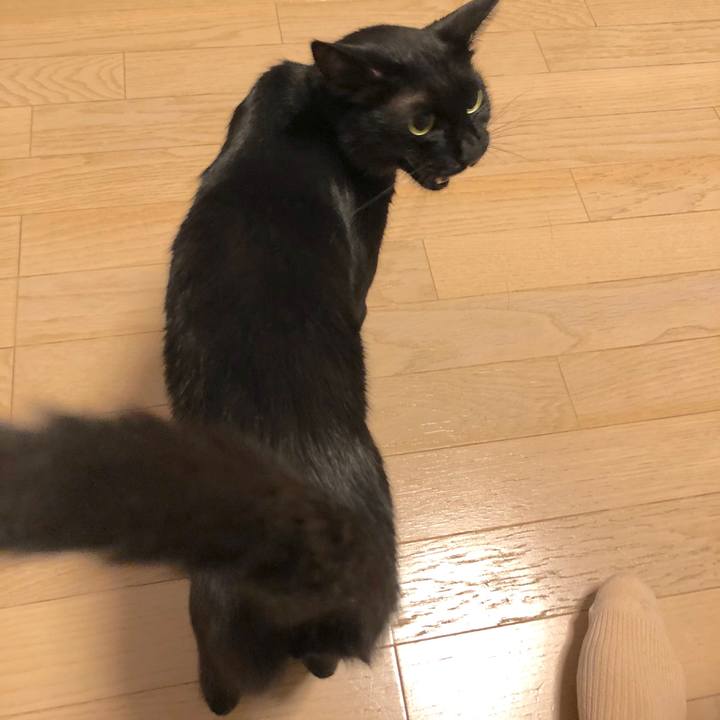 0cbacb72 cc0d 4745 a5ba cb677a2830d8 1533820938441