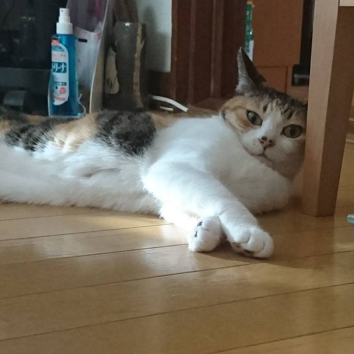 0cbaeb09 ad44 40c3 9313 83fe3ec0d3b4 1623495227527