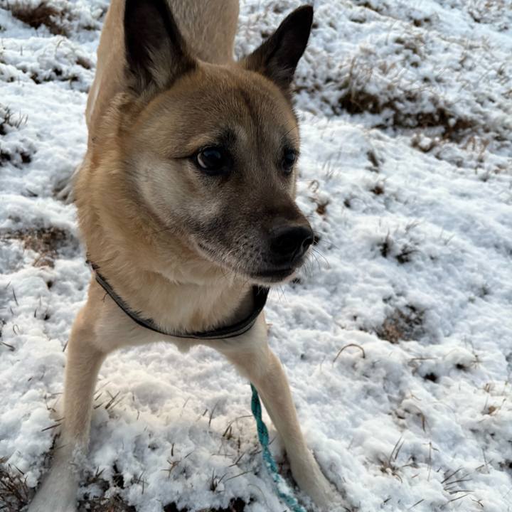 0cbaf1db 45cc 4490 a09d f81eba5dd90b 1738845893066