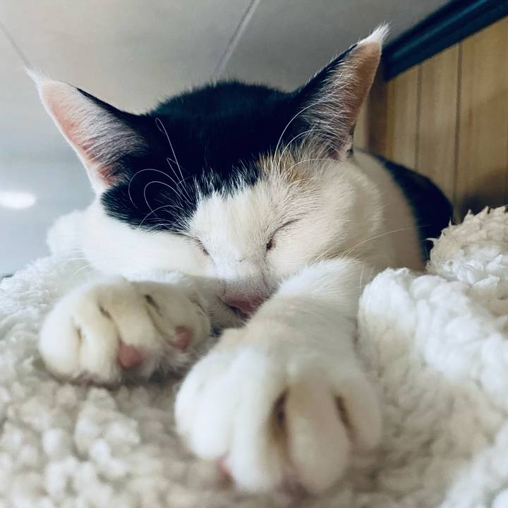 0cbafb7b 76b0 4ffc bd4f 669505a2d259 1672231873590