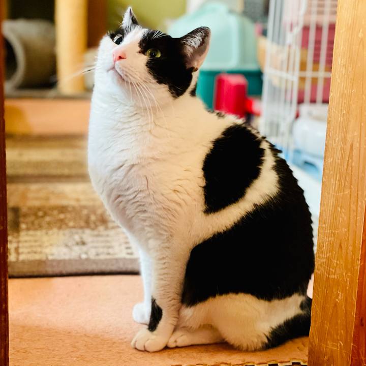 0cbb01e3 844c 48f8 b162 d502cb6d9bf8 1616726243209