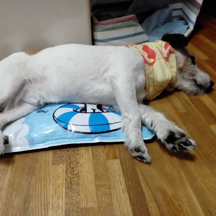 0cbb6364 539f 4e52 bdf7 fca1ca62e811 1534248306590