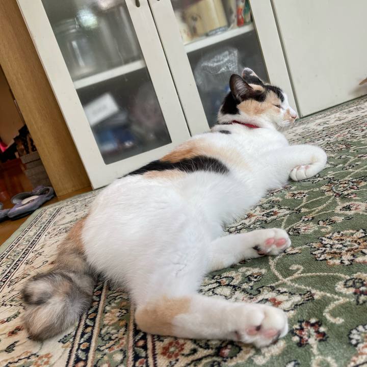 0cbb8a5f 9f6a 4486 9ffb 634a67242379 1720142686473