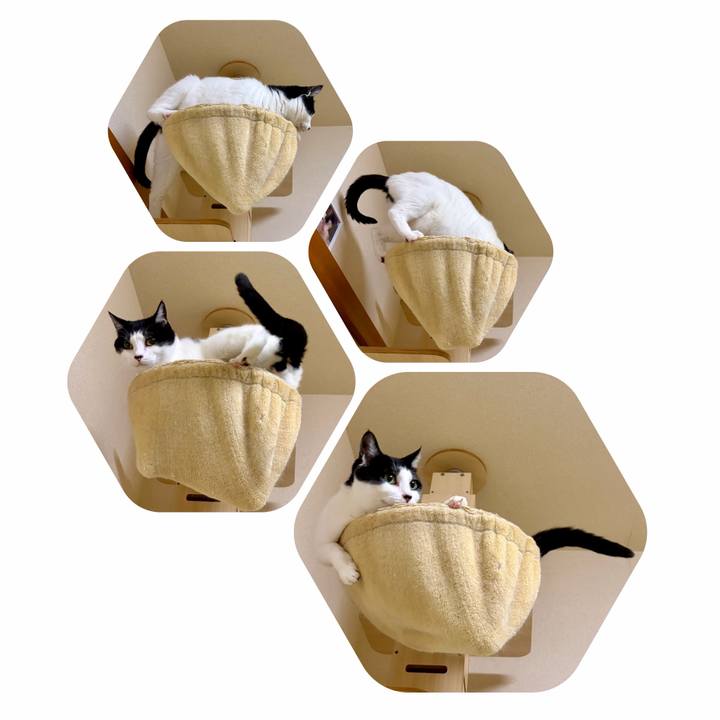 0cbbb149 e82f 4907 98e7 d081eca809d3 1765091838620