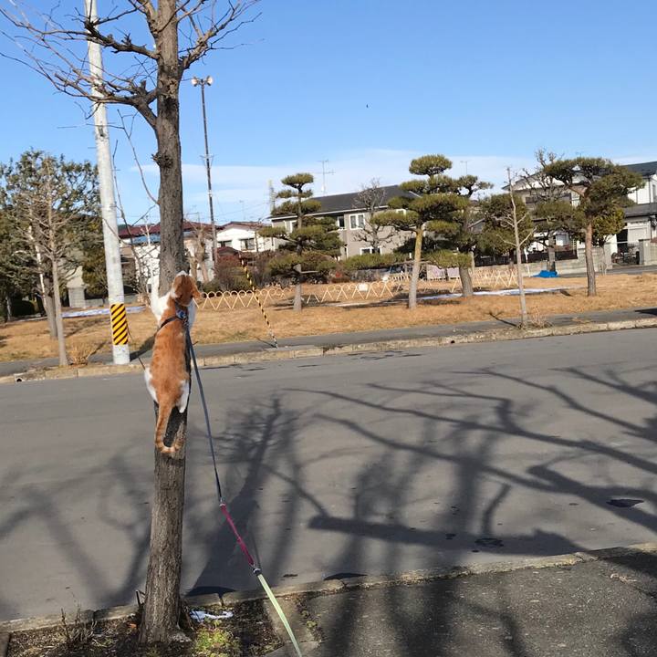 0cbc09f9 9f47 4535 be86 163c793ef340 1515213935999