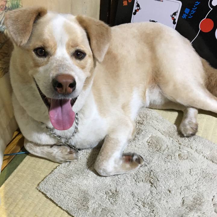 0cbc2a6d 04b0 42b5 8d3c a56b264fcc1e 1526639735464