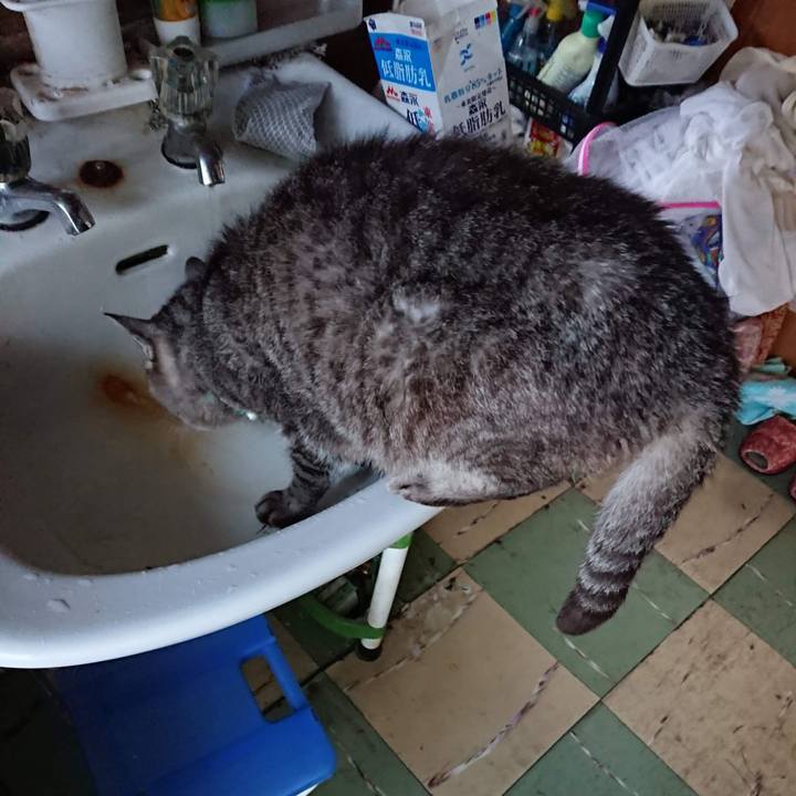 0cbc3667 bd07 48bd a5e6 791e09e1284a 1603831925001