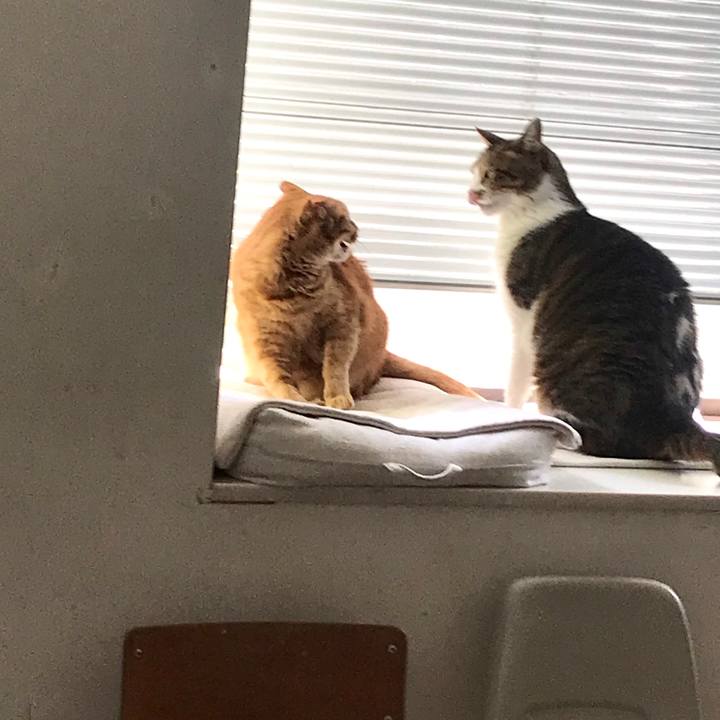 0cbc5f7a ab58 42aa 9f00 9a51601416fc 1600482478514