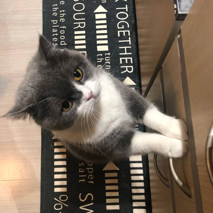 0cbc6814 d460 4534 8e48 1b109d802db4 1617274544928