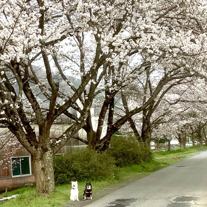 0cbc8096 689f 4fe9 bb20 526111965676 1679920881585