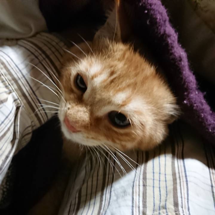 0cbcced5 87c6 42fb 961e 36b61f6342c4 1634762025904