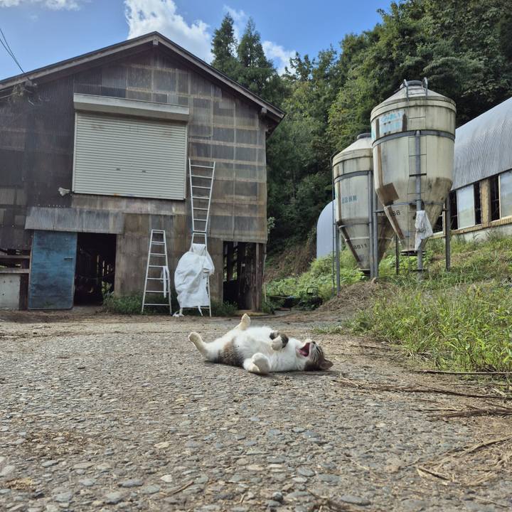 0cbcf3eb e4e2 416c 8544 9303a5b823cc 1761847228698