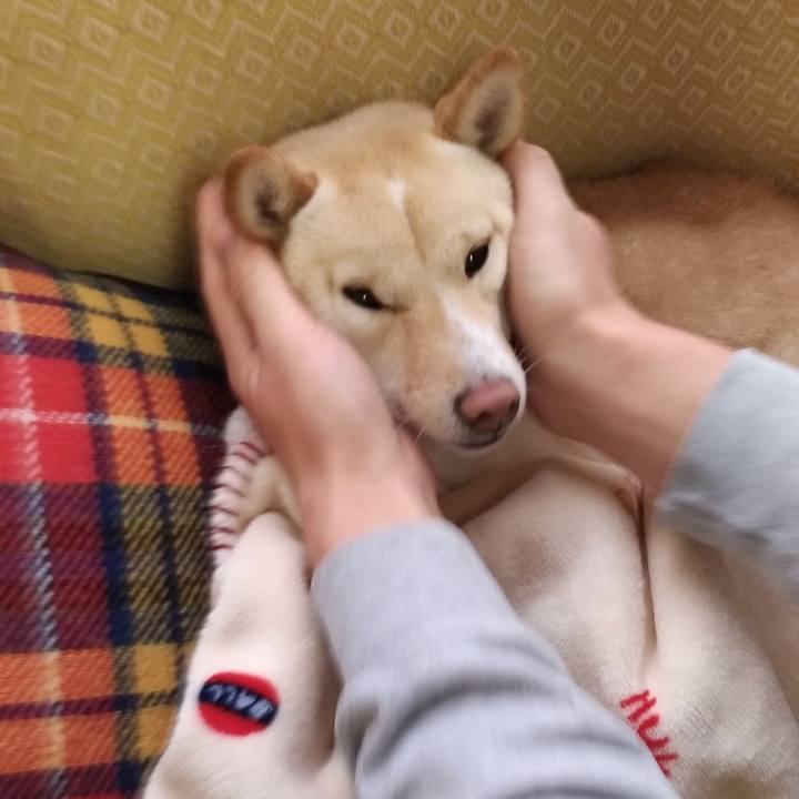 0cbd0a97 a45c 4182 887e 562aaab88bbb 1543792962120