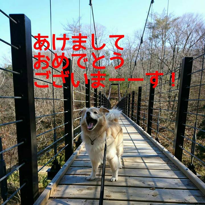 0cbd0cf5 8a28 4e9e b9a4 4569e40bbf9d 1578040748840