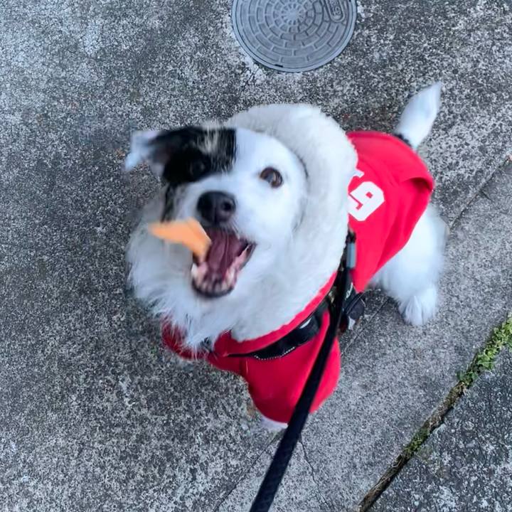 0cbd0e85 e193 4f66 8884 cb2da96081ad 1734479127418