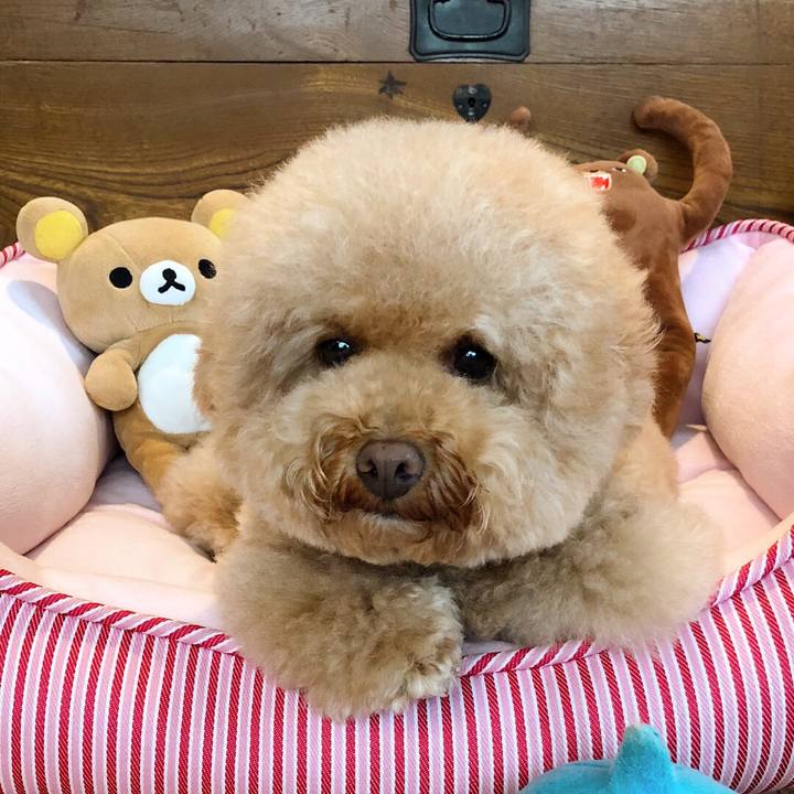 0cbd3314 f17c 48f7 831e fb08b352f41a 1507881967189