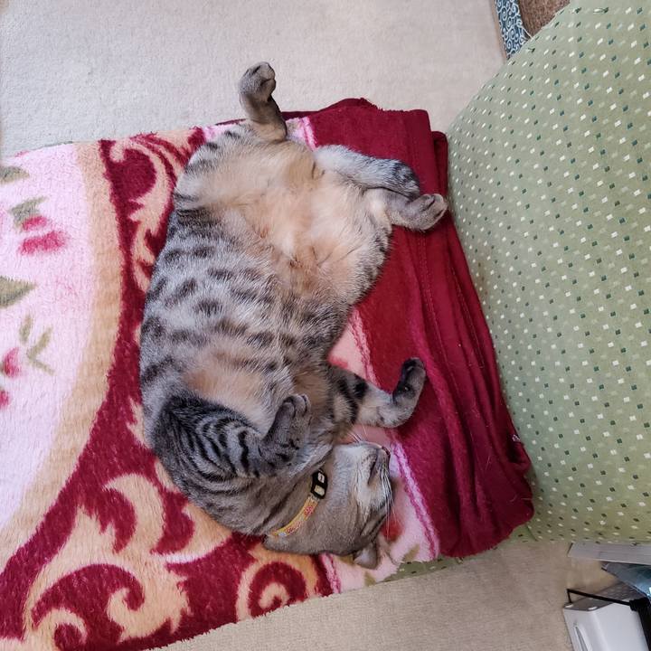 0cbde573 3add 4dd3 85c0 485685156c58 1698676741436