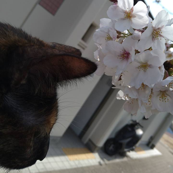 0cbe3161 0546 4b6f a543 0cc8a03ae1e2 1616890991656