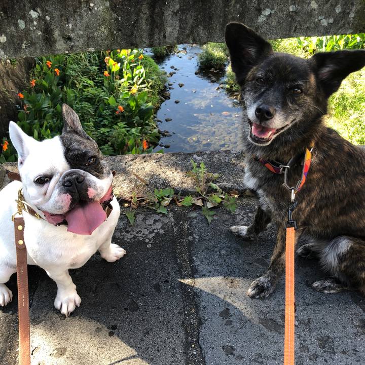 0cbe6174 3211 464a b76d 19037c4c409f 1570809205172