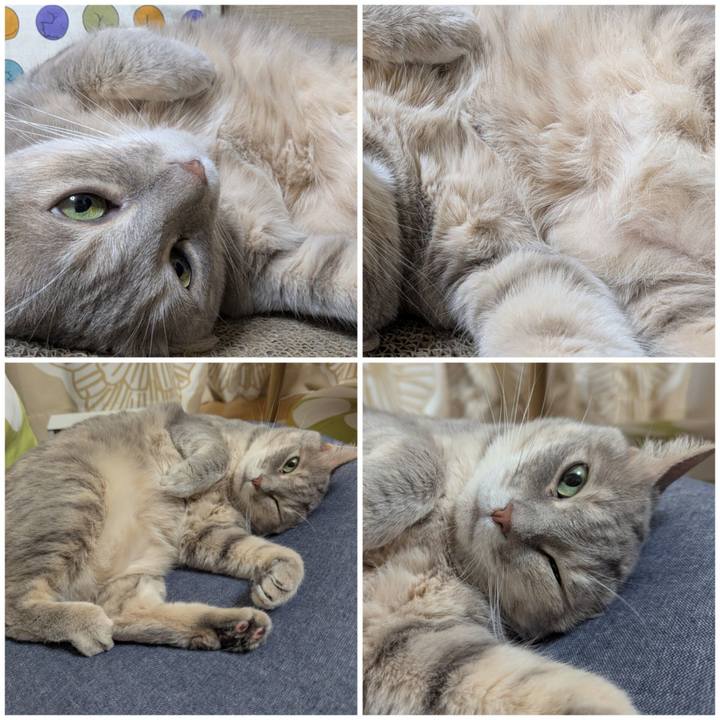 0cbe7594 9273 4195 aee3 5b960e792000 1751004166387