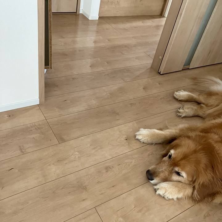 0cbebe31 9cdd 407e 8522 d345e54cbfc9 1726119325733