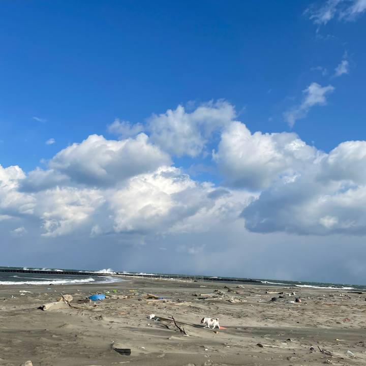 0cbec1f4 d437 4231 8889 6ea715874360 1614039974369