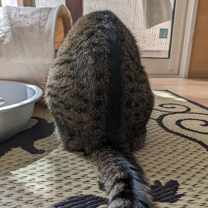 0cbf0139 f621 4357 aca1 97fa464c7921 1693443271988