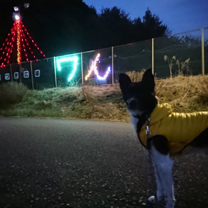 0cbf39d2 db0b 49c8 b2d0 18f1eecb77cc 1514020083899