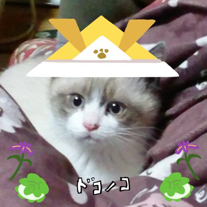0cbf3b0b 99b0 477f 8d03 b3efee7be4b8 1715071790420
