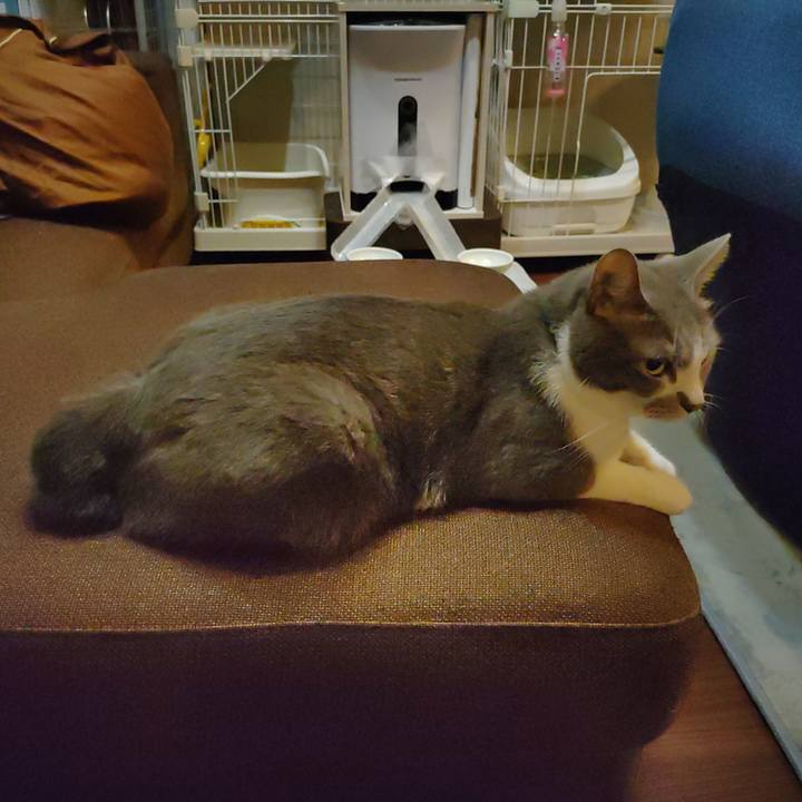 0cbf4397 7781 47e9 8c71 fdd0aab9abc3 1658274990435