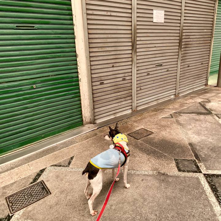 0cbf55c9 95ee 4c3d 9435 64bfee127bb7 1597370259515