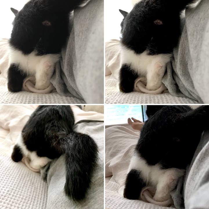 0cbf5dbc ec98 497b 98a7 0e37d7fcf286 1532275533917