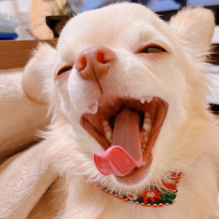 0cbf8b59 7522 4c16 ab77 e91ce8928c06 1670149029864