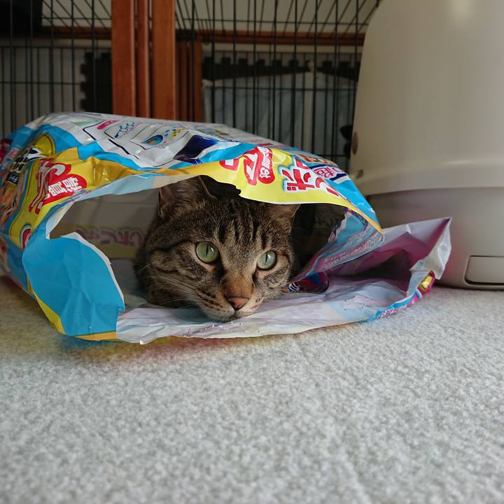 0cbfa2b7 f1ab 468c be7b 88dffa6da411 1559959160895