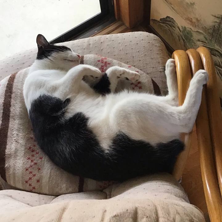 0cbfbe7b 08c2 464a b80e 13b59f3b31df 1659859045036