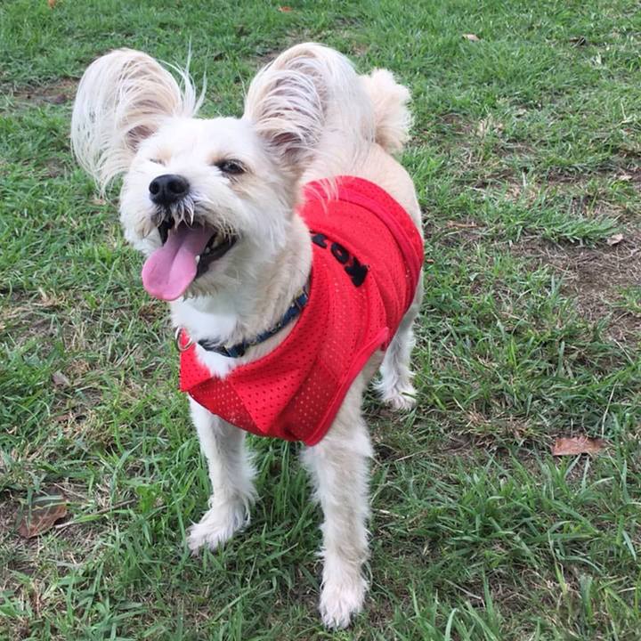 0cbfbeb1 354e 4bb7 b40f d7f2b48e45fb 1536666887259