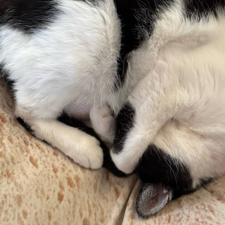 0cbfcbe9 65a6 42a1 af50 6b79f7ae0b7c 1766460412503