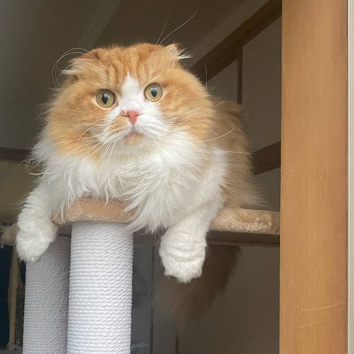 0cbff3f7 258d 467d 805c 3bb690f2b7ca 1674547859957