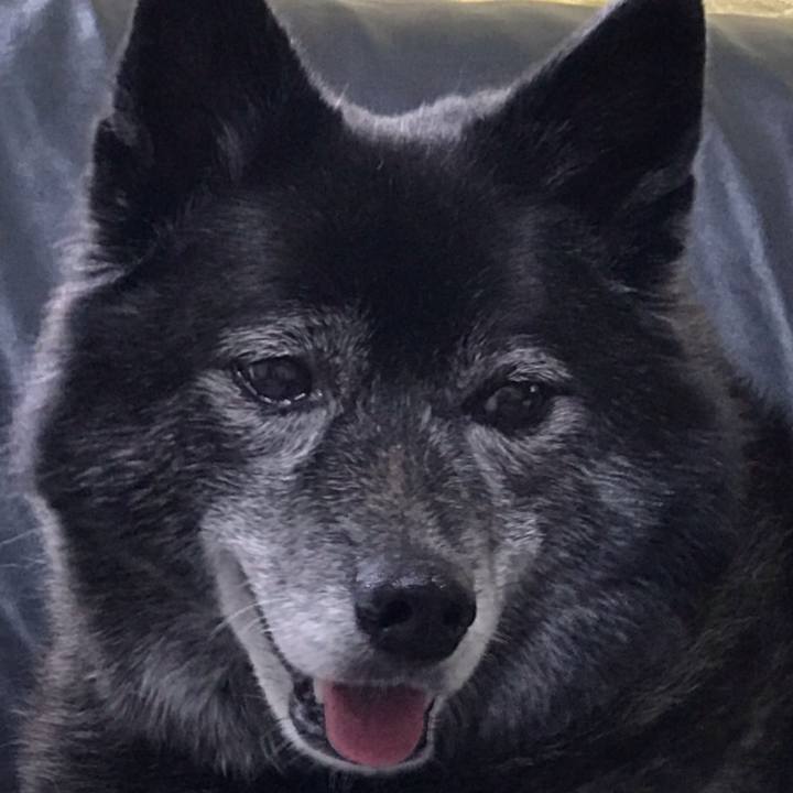 0cc01684 6827 48a4 9d19 0c00ef7cb0a5 1565832513887