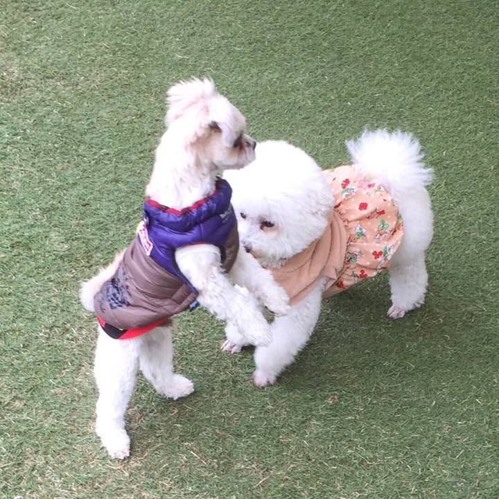 0cc01867 0f6b 4629 abe3 a67f6c3f3d72 1516271237975