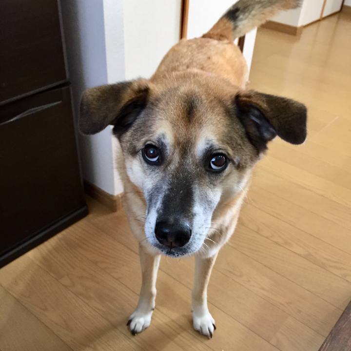 0cc02444 f008 4fff a246 4a5d0a36611c 1549431625215