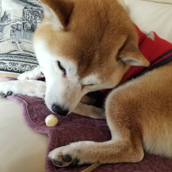 0cc031c6 cc17 4db9 ba00 0f64dc7e66a2 1607645775056