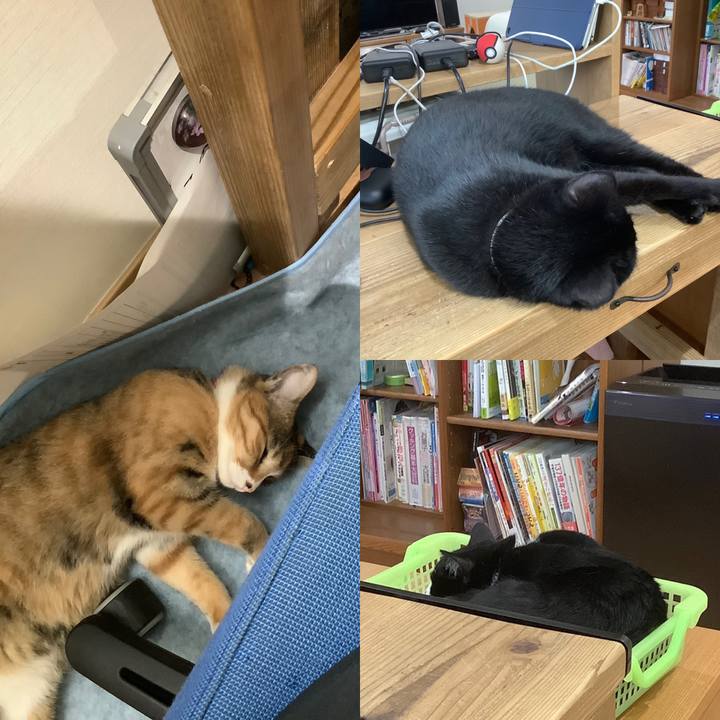 0cc03990 e431 487d abca 15cedc4f37c2 1591186557711