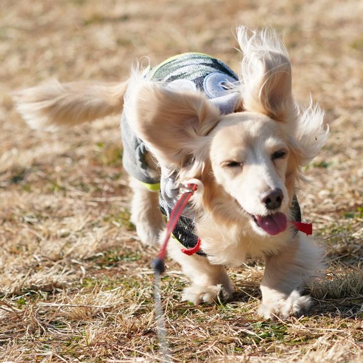 0cc071ab dfb1 4c0f ba21 cb1c83698831 1517413692716