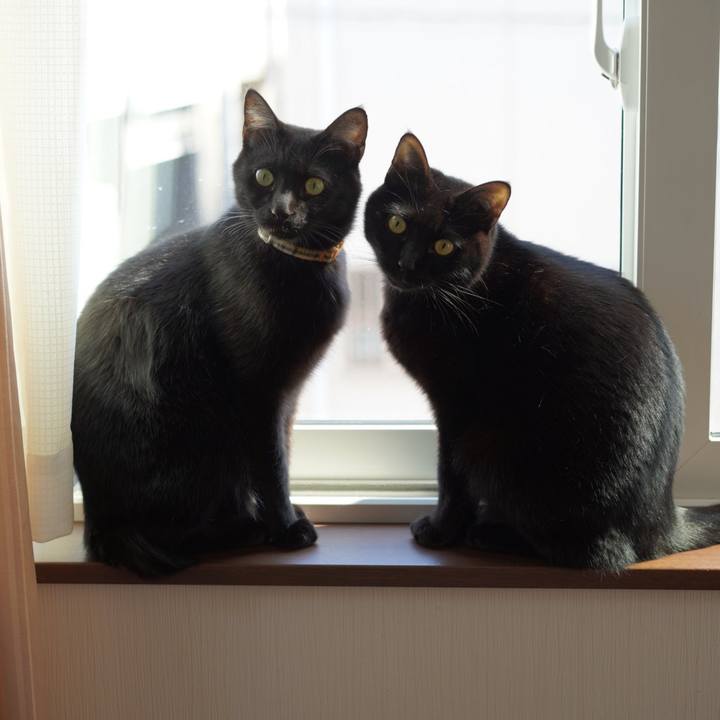 0cc09048 0ff2 4959 a4a8 f3d6aba1db85 1581258247745