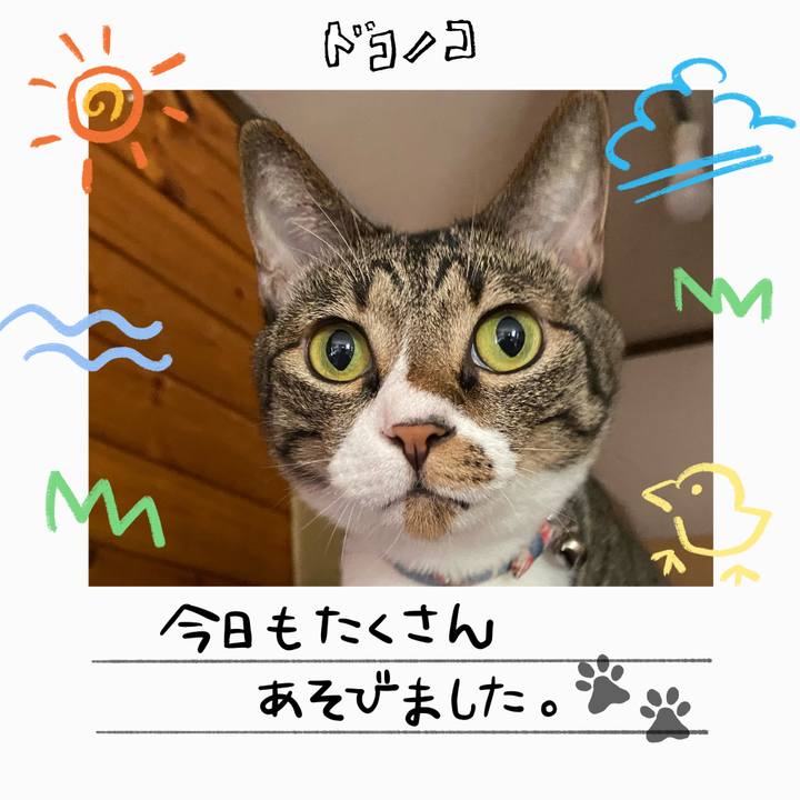 0cc0a0e6 b605 480a 8f18 87301d7cdf17 1755128492000