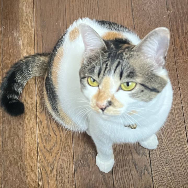 0cc0ac04 8749 49de a317 c3d1bbf33edd 1758759705227