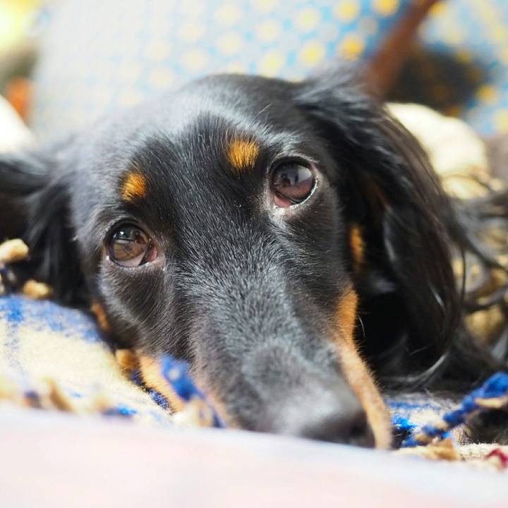 0cc0ad2c 7f3d 4449 9c5e 3ca70e6a6909 1519174305249