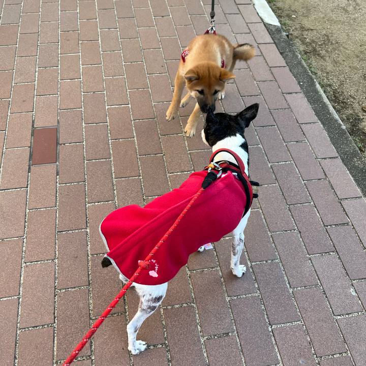 0cc0b420 0275 480f 99da bf78e1af0179 1639541440925