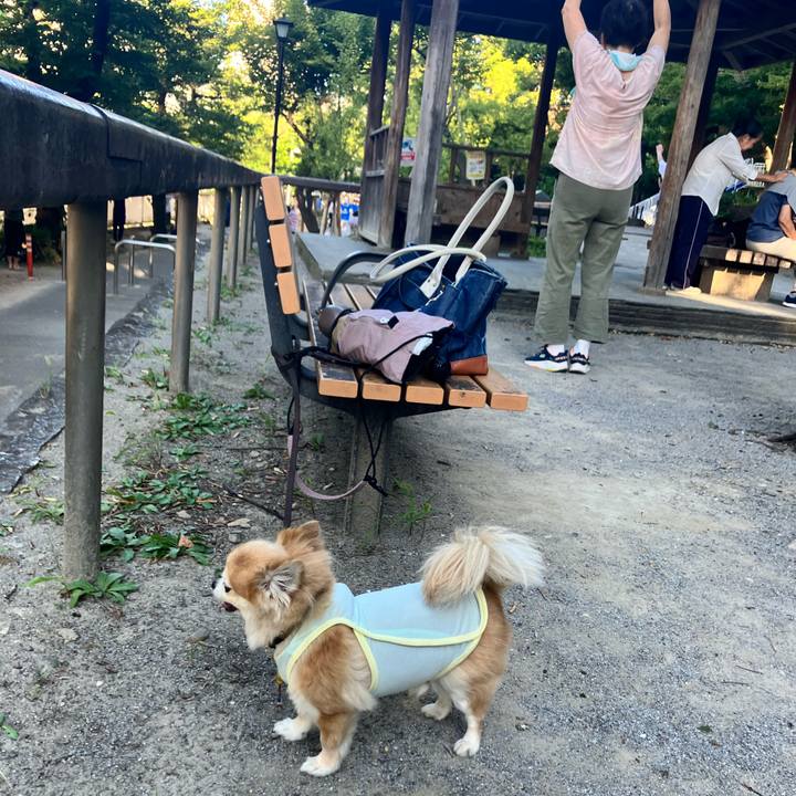 0cc0b9e6 eaef 43fa a1c2 28b3612d5d0a 1753841985647